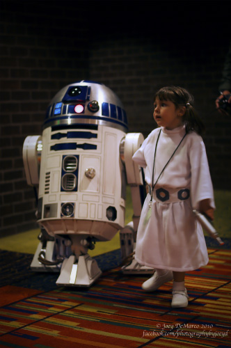 R2-D2 Shore Leave 32 2010